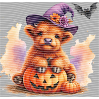 Halloween-WS 5761
